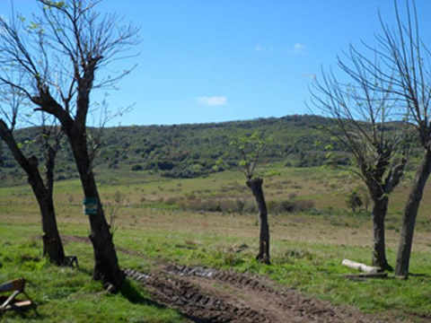 eng-avaliacoes-rio-pardo01