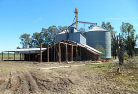 Avaliação Fazenda Santa Cecília (Rio Pardo/RS – 2013)